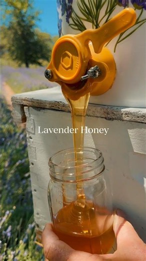 🍯 Lavender Honey Available Now at arizonahoneybeeco.com