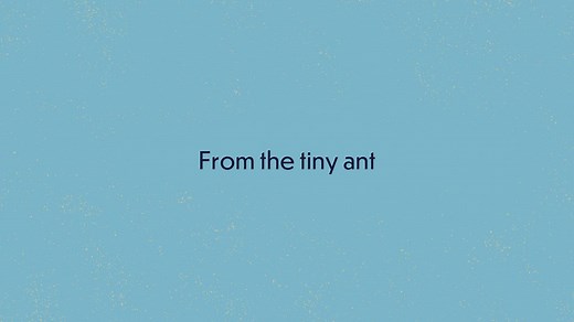 Assembly songs - From the tiny ant