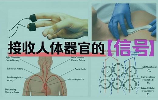 科普| 生物电阻抗是什么？和呼吸、心跳、血压又有什么关系？