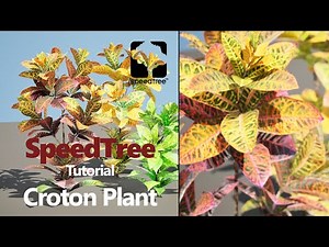SpeedTree - Tutorial - How to create a realistic Croton plant