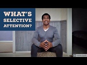 Answering Questions on Selective Attention - Cognitive Skills #15