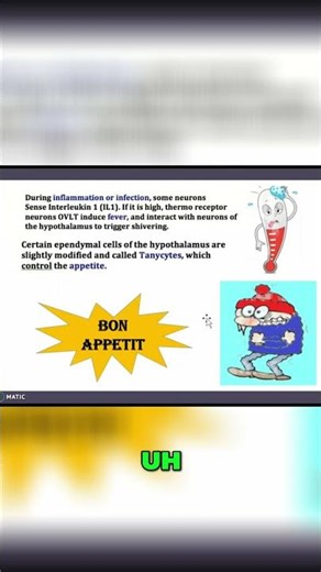 OVLT: The Brain Organ That Controls Your Appetite! #shorts