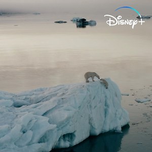 The #EarthMonth celebration is in full s̶w̶i̶n̶g̶ spring with new #DisneyPlus Originals coming this 🌎 Day: 🌱 National Geographic’s The Biggest Little Farm: The Return 🏔 National Geographic’s Explorer: The Last Tepui 🐻‍❄️ Disneynature’s Polar Bear | Disney