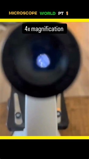 Microscope zoom
