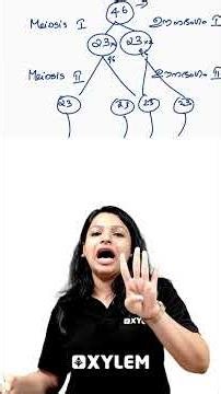 Meiosis Phases !! | Xylem Class 8