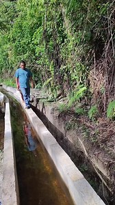 Mancing mania #mancingmania #konten | P Vanel Simanullang