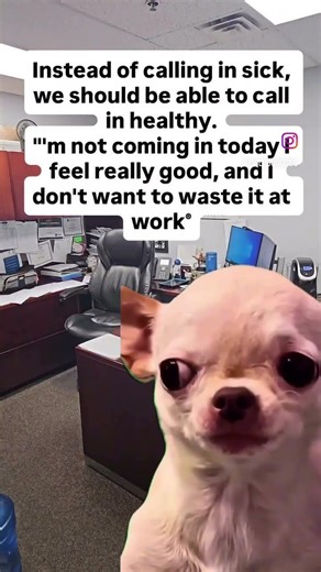 Things that make you go hmmm! 🤔 🤣