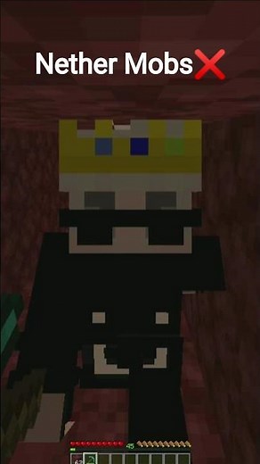 How To Stop Nether Mobs To Spawn In Tunnels