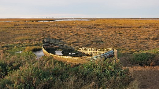 Global study reveals widespread salt marsh decline