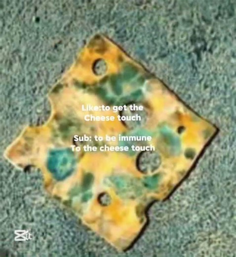 Day 9 of giving people the cheese touch and a vaccine to it 🧀🧀 #cheesetouch