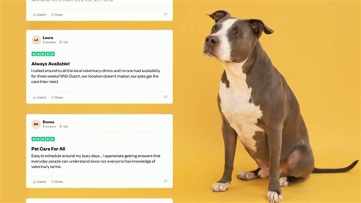 Dutch TV Spot, 'Affordable Care'