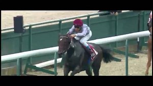 484 reactions · 24 shares | [A 23h sur Equidia Live] Ne ratez pas le documentaire exceptionnel « Trêve forever ». Vous y suivrez la préparation de Trêve et de Criquette Head face à un défi de taille : remporter pour la 3ème fois le Prix de l’Arc de Triomphe ! Une quête de la performance oui, mais surtout des émotions qui n’appartiennent qu’au sport. | Equidia | Facebook