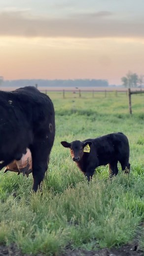 Ethan Hethcote on Instagram: "Life is only as sweet as the co(w)mpany you keep 😌"