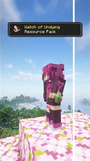 Minecraft Resource Packs | EP.115