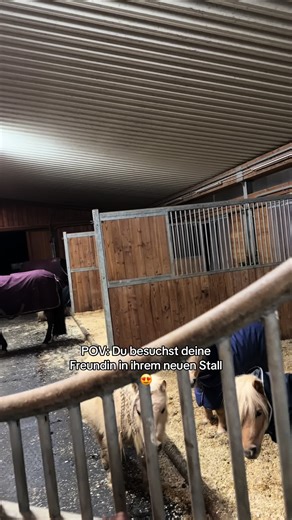 Visiting Your Friend's New Horse Stable for Birthday Fun