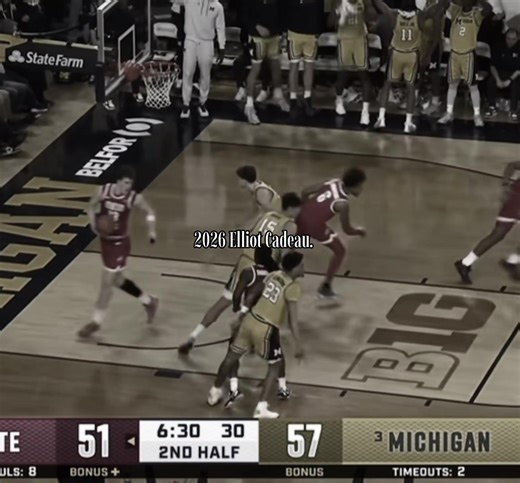 Elliot's Michigan Wolverines Highlights