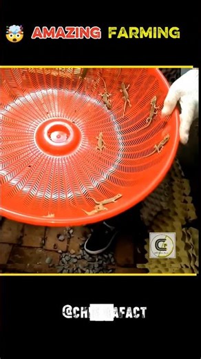 Amazing Farming In China 🤯