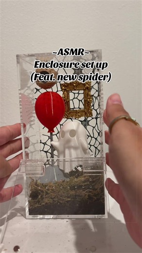 Jumping Spider Enclosure Setup Tips — ASMR-Friendly Guide