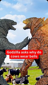 Larryzilla on Instagram: "Godzilla asks why do cows wear bells. #godzilla #stopmotion #cow #joke #shmonsterartsgodzilla #hiyatoys #monster"