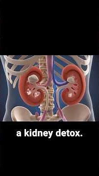 How To Know If You Need a Kidney Detox