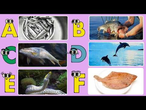 A to Z Fish Song for Kids | ABC Ocean Animals & Sea Creatures Learning
