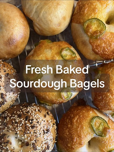 Delicious Homemade Sourdough Bagels Recipe