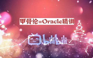 甲骨论=Oracle精讲视频课程