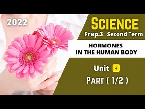 SCIENCE | Prep.3 | Hormones in the Human Body #1 | Unit 4