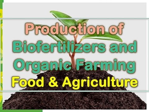 Production of Biofertilizers and Organic Farming | Food and Agriculture.