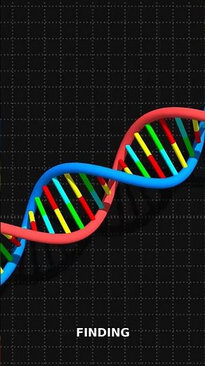 In 1953, James Watson and Francis Crick discovered the double helix structure of DNA. This breakthro