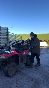 4.1K views · 100 reactions | Herding sheep in Scotland gbsct This dog is truly living its BEST life! Watch until the end - herding sheep is harder than it looks 藍藍 Huge shout out to Iain Black O' the green farm and Dr. Iain Graham of Killochries Fold - Kilmacolm, Scotland for the awesome hospitality! #scotland #sheepdog #shepard | Farm Babe | Facebook