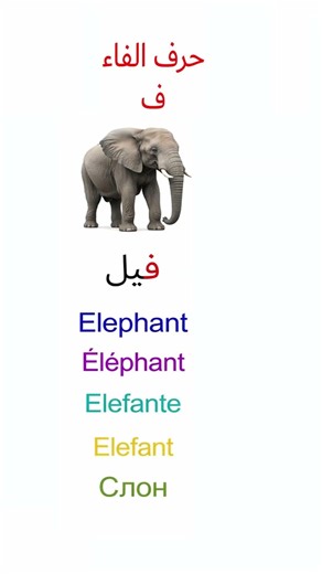 Letter #20 (ف) (Faa) in Arabic