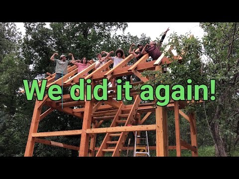 Building a tiny timber frame