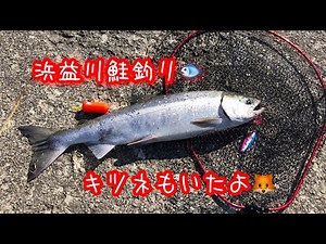 鮭釣り〜北海道石狩市浜益川 [浜益川サケ有効利用調査 予行練習]〜のイクラの醤油漬け♪
