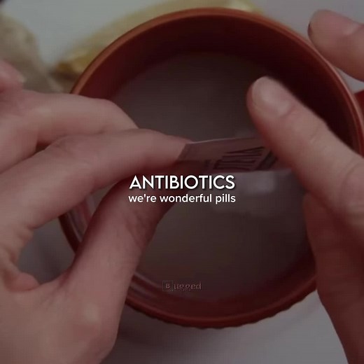 Goodbye Lydia: Memorable Moments from Breaking Bad and Better Call Saul