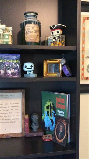 Unique Disney Collection Items Showcase