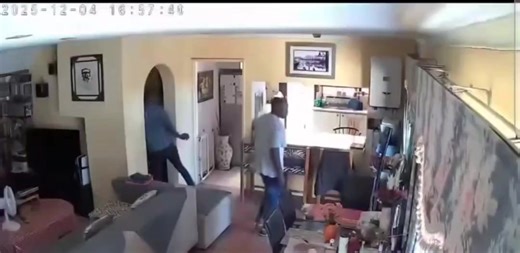 SHOCKING VIDEO EVIDENCE OF THE FIRST K9 CORUPTION CASE EVER RECORDED A video has surfaced of a home invasion caught on CCTV — but the real headline isn’t the burglary… it’s the two massive “guard dogs” who were on duty. Instead of sounding the alarm or defending the house, these two went full customer service mode. One burglar says a few sweet words, and suddenly the dogs are like: “All clear, guys! Proceed with the robbery. We’ll just be over here… napping.” They give a few polite barks — more 