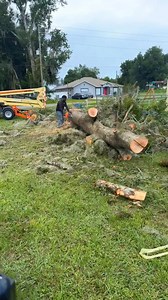 Southern Cut LLC does it all — sod, tree removal, land clearing, and even your basic mowing! Call us today at 386-327-1674 for your FREE estimate! | Southern Cut LLC