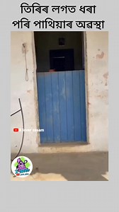 113K views · 3.7K reactions | Comedy Assamese funny dubbing video #viralreels #reelsviral #funnyreels #comeyreels #trendingreelsvideo | X lover assam | Facebook