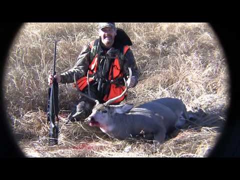257 Weatherby Magnum 420 Yard Shot on a Mule Deer (2 of 2)