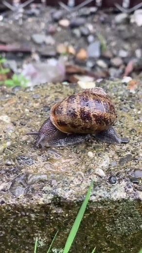 Watch out #gottagofast