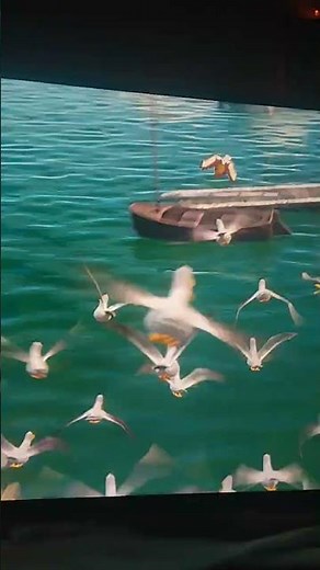 Finding Nemo: Nigel Protect by Friends and Attack By a Seagull