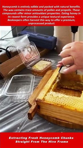 Extracting Fresh Honeycomb Chunks Straight From The Hive Frame