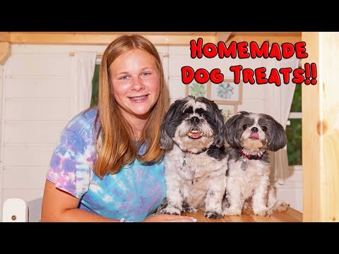 Assistant Makes Homemade Dog Treats for Wiggles and Waggles from Baby Food