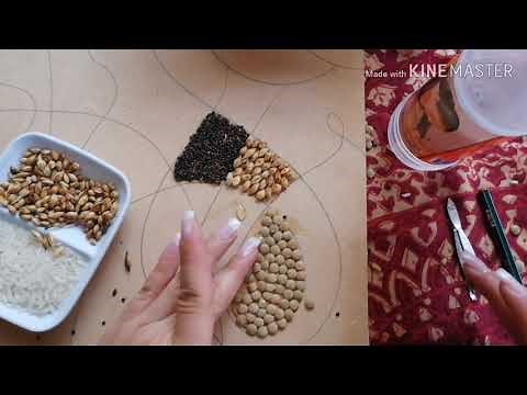 TUTORIAL ARTESANÍA CON SEMILLAS 6TO DE PRIMARIA