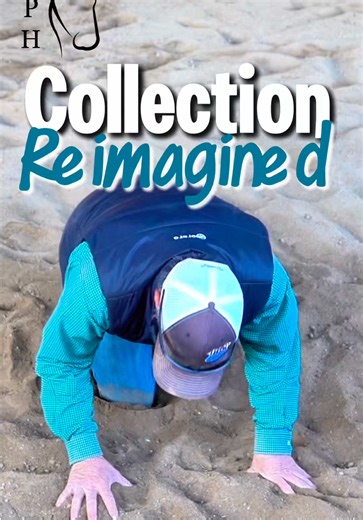 What is Collection? Teaching Your Horse to use His Body Correctly #collection #horse #horseriding #horsesontiktok #equestrian