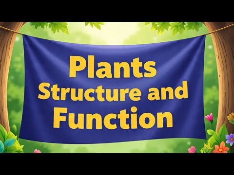 7 Science | Plants - Structure and Function | Maharashtra State Board | Central Science in Marathi |