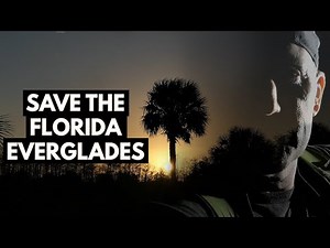 Python Hunting in the Florida Everglades | My Experience