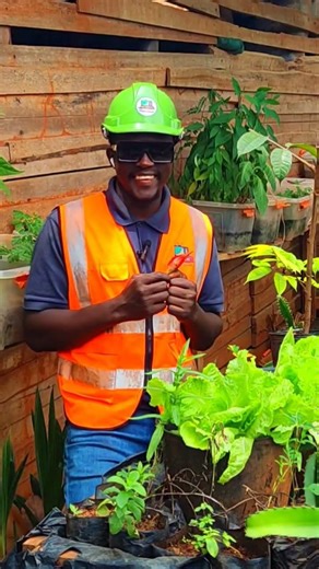 Comment utiliser le ndong ou piment de Guinée pour chasser les sorciers