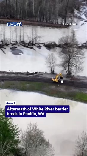 Video from Drone7 shows the flooding aftermath following a barrier break along the White River in Pacific, WA. A flash flood warning has been updated to a flood warning in the area. #floodwarning #pacific #PNW #kiro7 #drone | KIRO 7 News